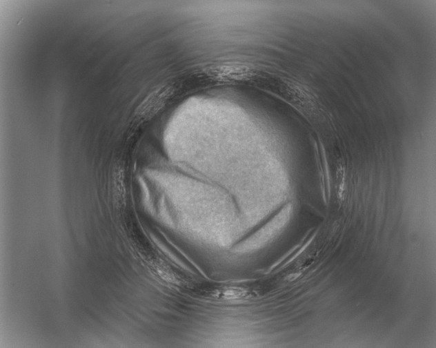 X0000054400506200508192008