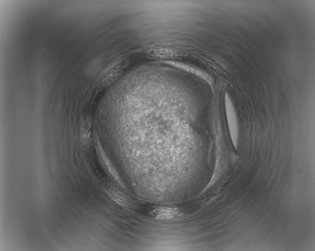 X0000054400507200508192008