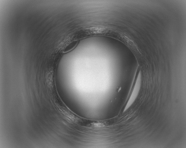 X0000054400509200508192008