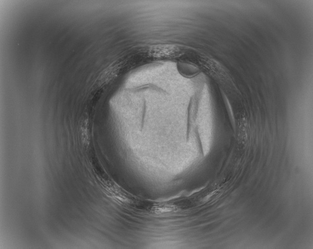 X0000054400510200508192008