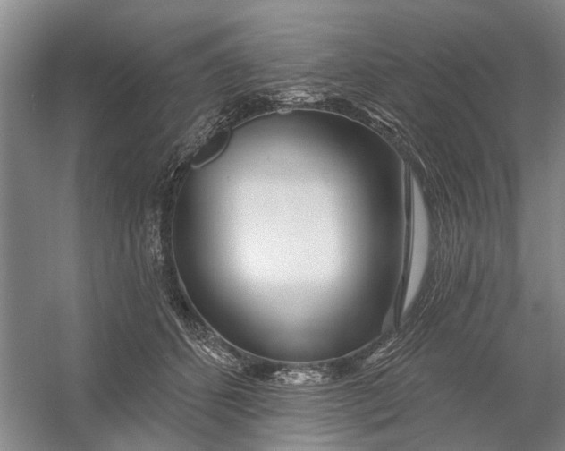 X0000054400512200508192008