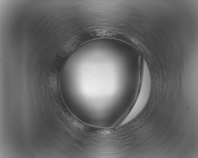 X0000054400513200508192008