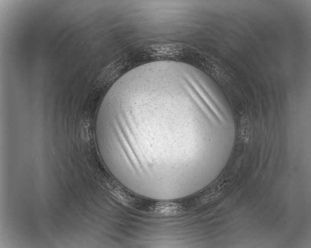 X0000054400514200508192008