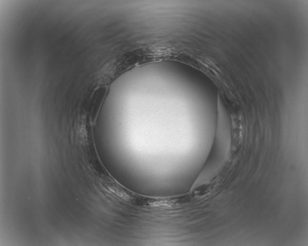 X0000054400516200508192008