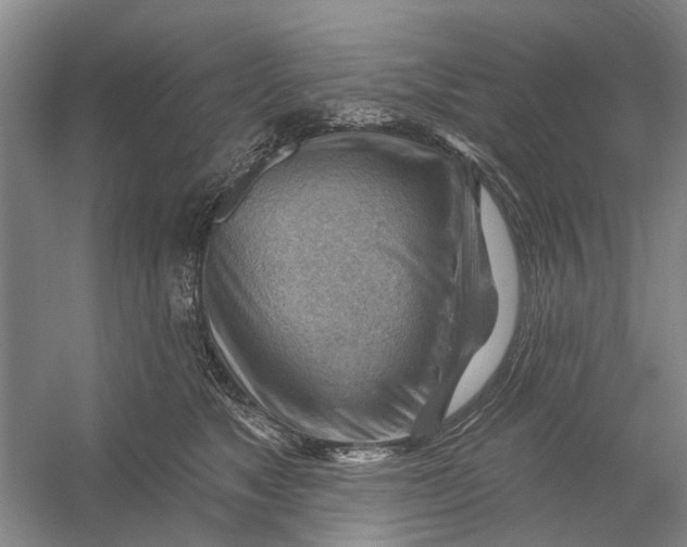 X0000054400517200508192008