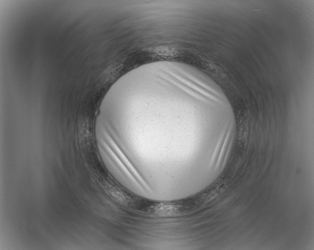 X0000054400518200508192008