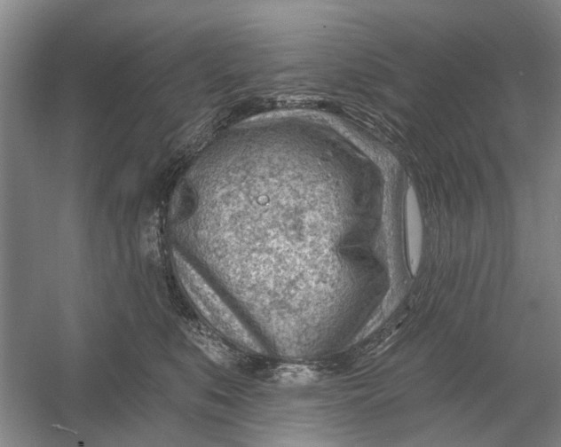 X0000054400519200508192008