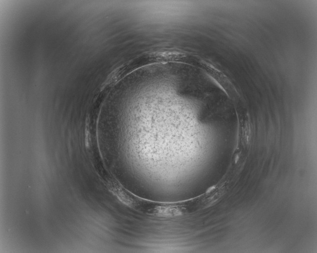 X0000054400520200508192008