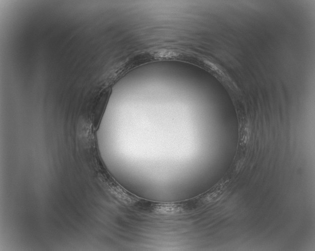 X0000054400521200508192008