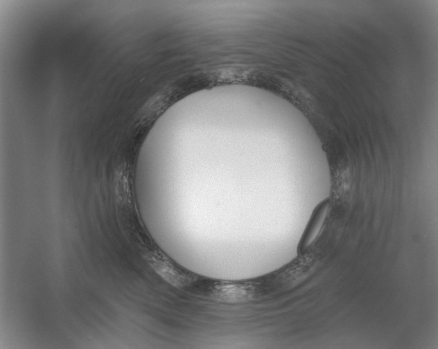 X0000054400522200508192008