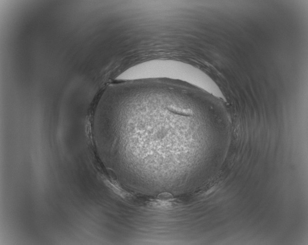 X0000054400523200508192008