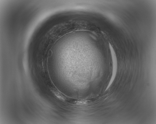 X0000054400524200508192008