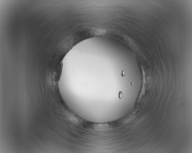 X0000054400525200508192008