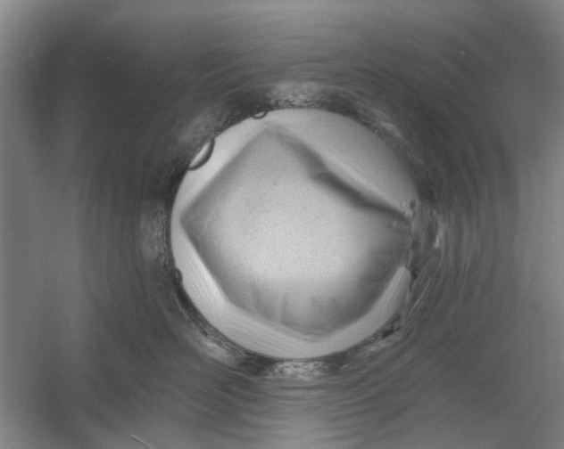 X0000054400526200508192008