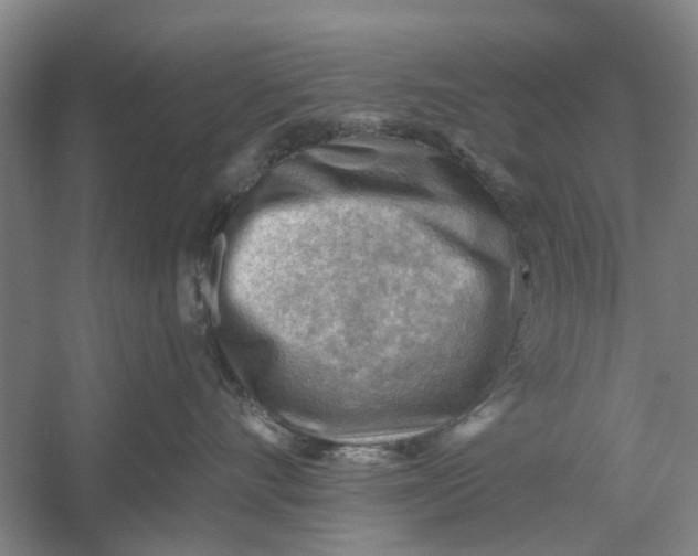 X0000054400528200508192008