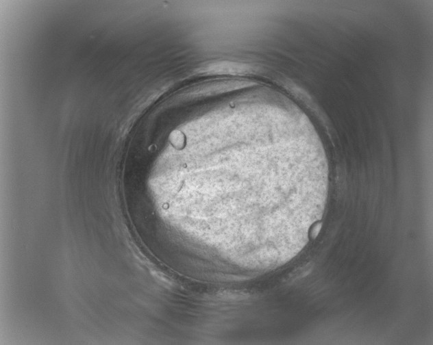 X0000054400529200508192007