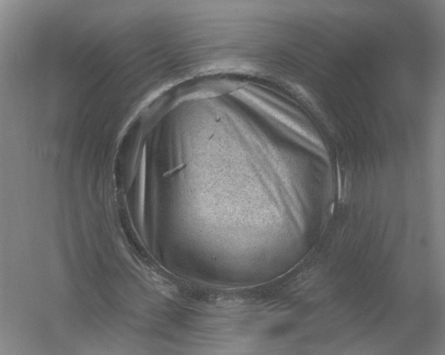 X0000054400531200508192007