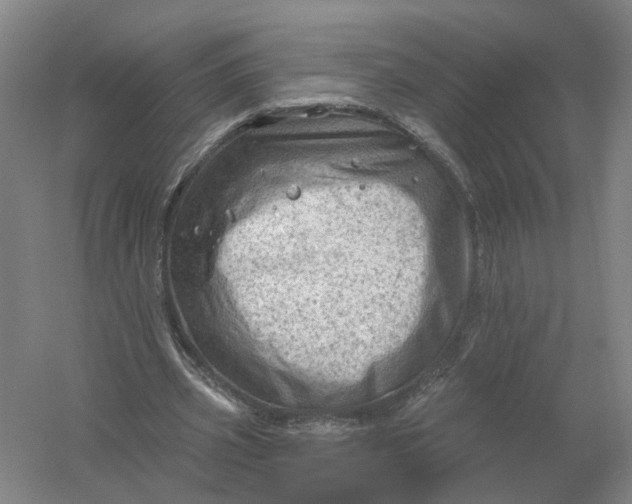 X0000054400533200508192007