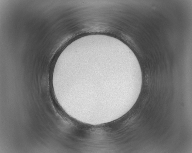 X0000054400534200508192007