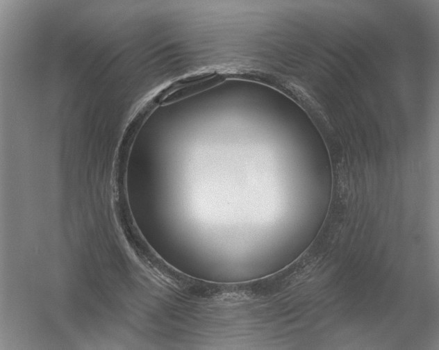 X0000054400536200508192007