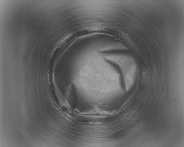 X0000054400539200508192007