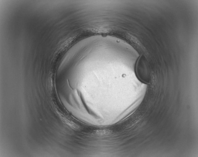 X0000054400541200508192007