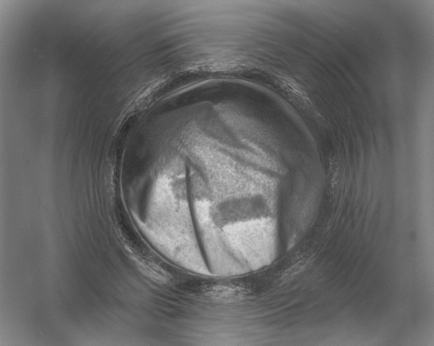 X0000054400542200508192007