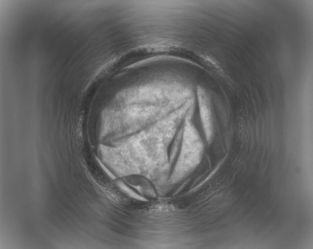 X0000054400543200508192007