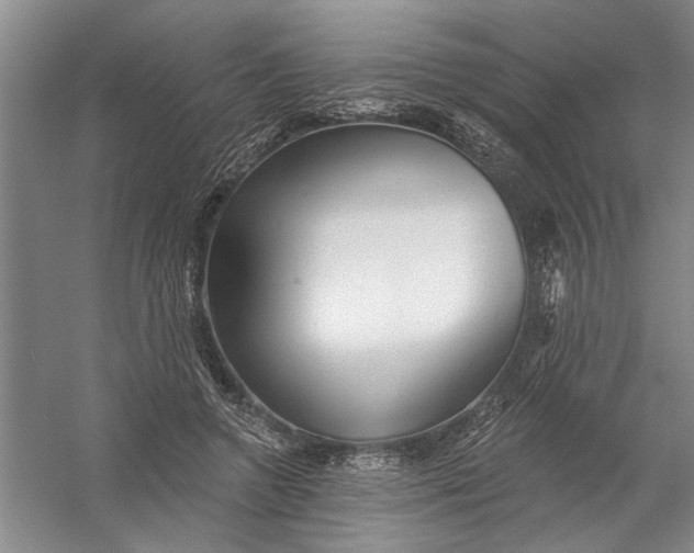 X0000054400546200508192008