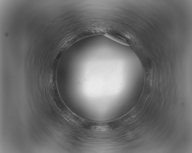 X0000054400548200508192008