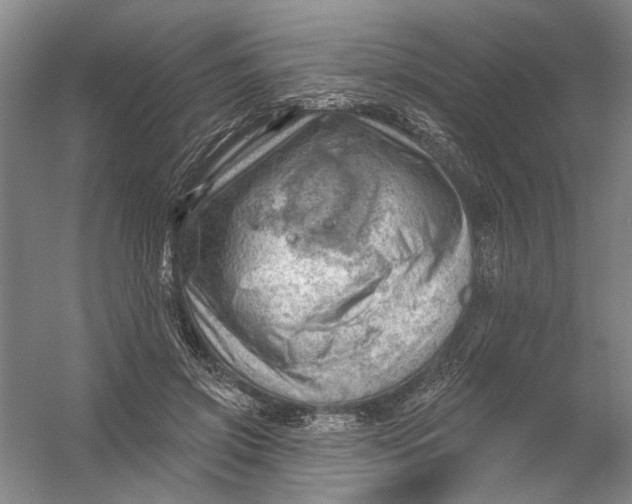 X0000054400549200508192008