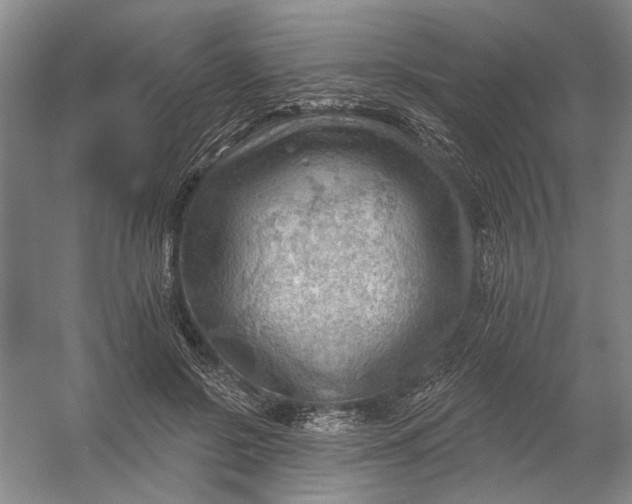 X0000054400550200508192008