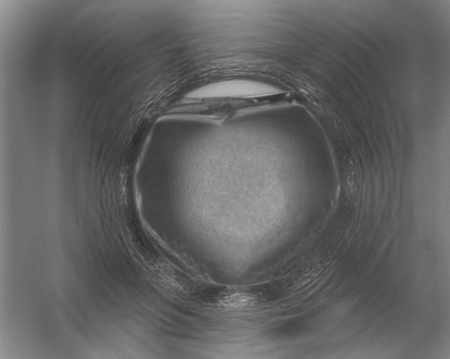 X0000054400551200508192008