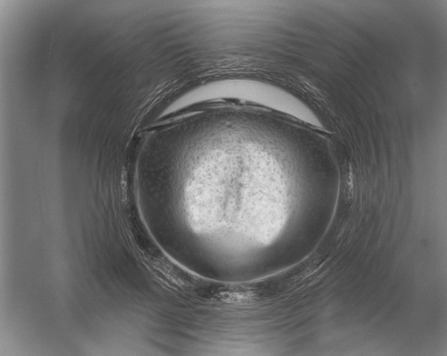 X0000054400552200508192008