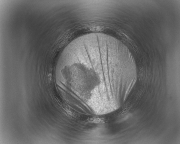 X0000054400553200508192008