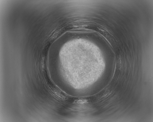 X0000054400554200508192008