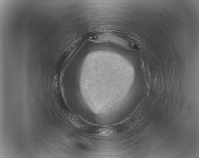 X0000054400555200508192008