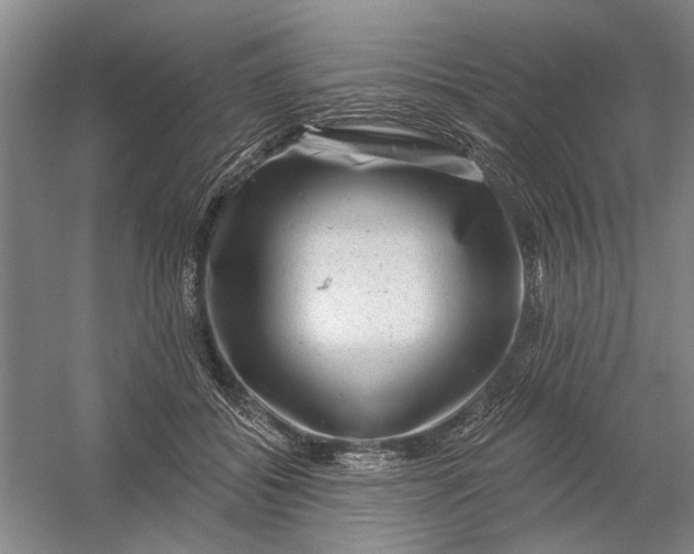 X0000054400556200508192008