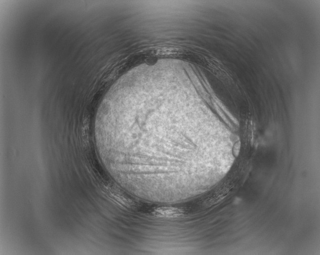 X0000054400557200508192008