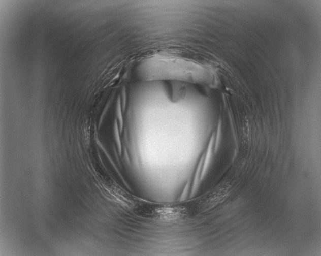 X0000054400558200508192008