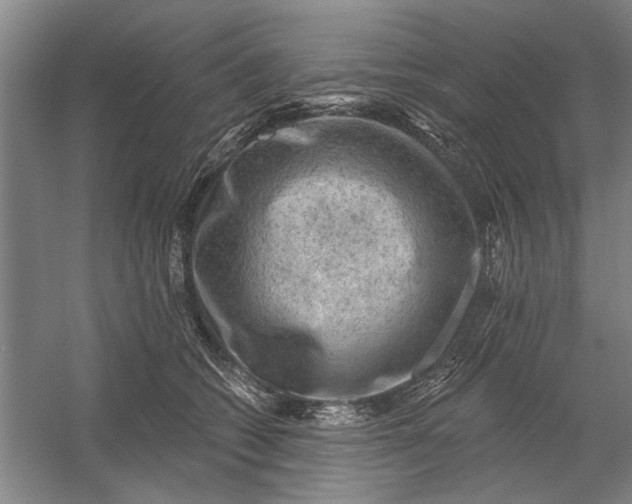 X0000054400562200508192008