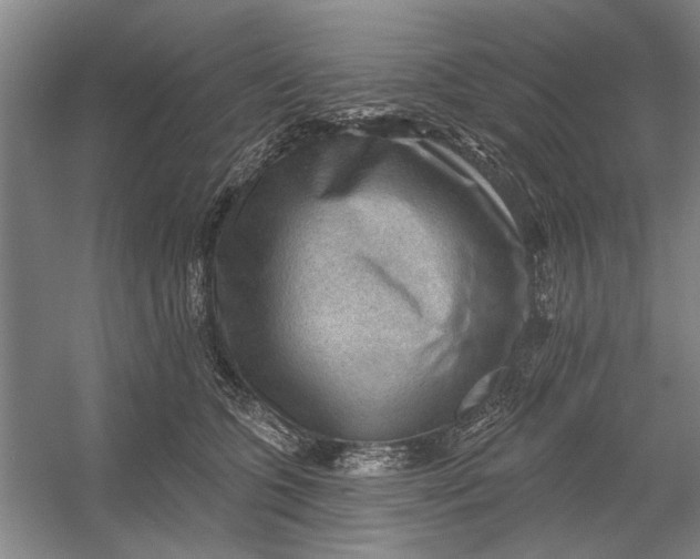 X0000054400563200508192008