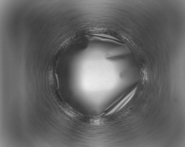 X0000054400564200508192008