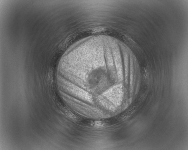 X0000054400565200508192008