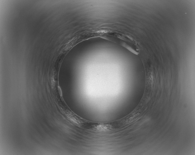 X0000054400566200508192008