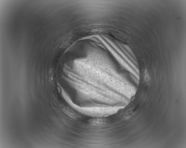 X0000054400567200508192008