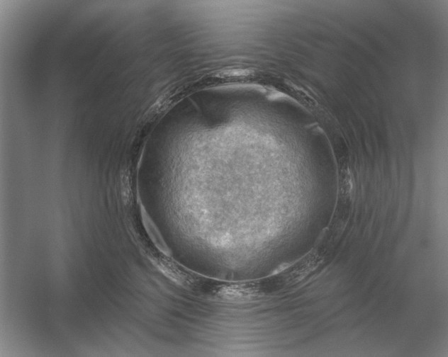 X0000054400568200508192008