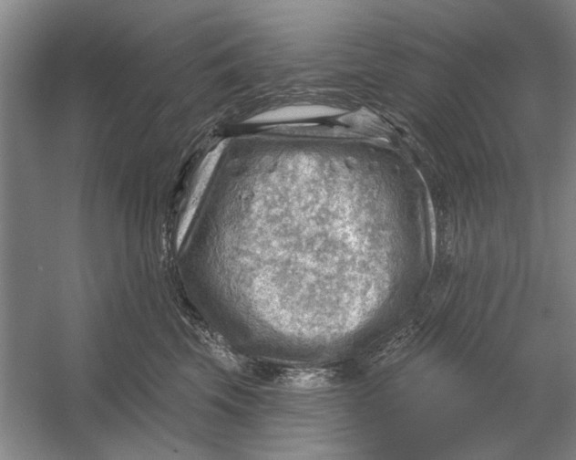 X0000054400569200508192008