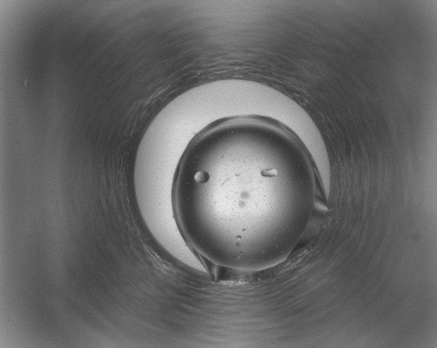 X0000054400570200508192008