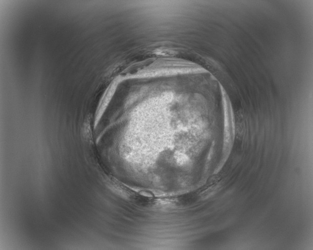 X0000054400573200508192008